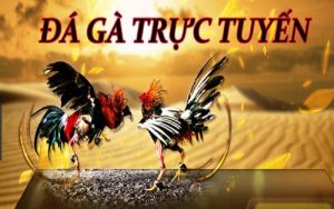 Link đá gà tại 88aa